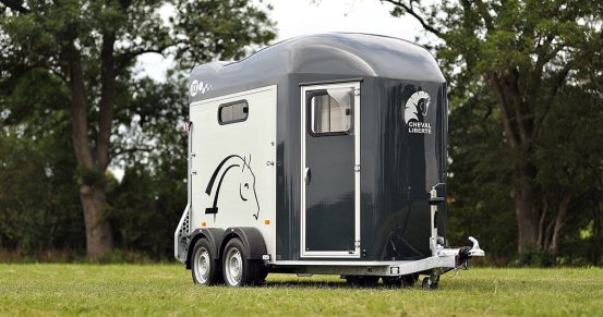 Cheval liberté